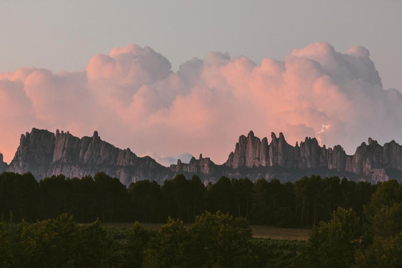 Les Cabanes De L'Oller Del Mas มันเรซา ภายนอก รูปภาพ