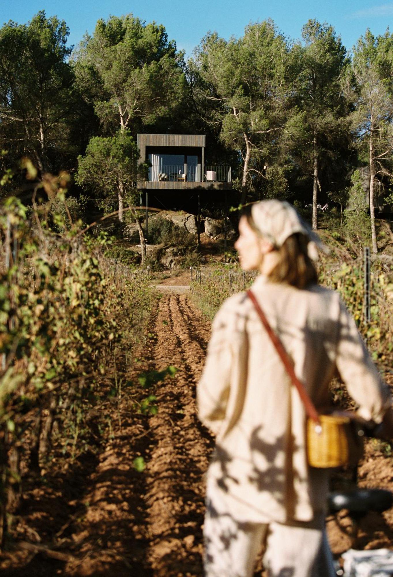 Les Cabanes De L'Oller Del Mas มันเรซา ภายนอก รูปภาพ
